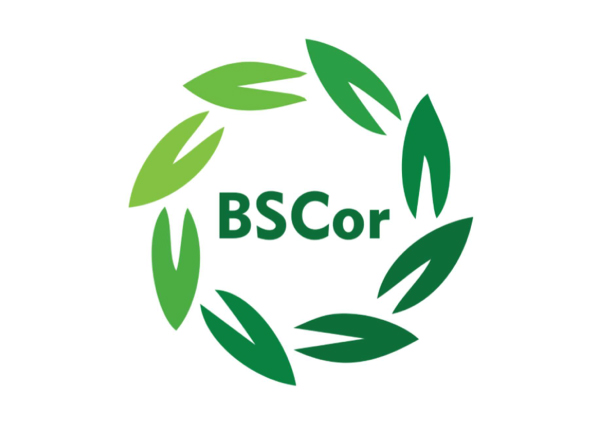 BSCor Corretora de Seguros